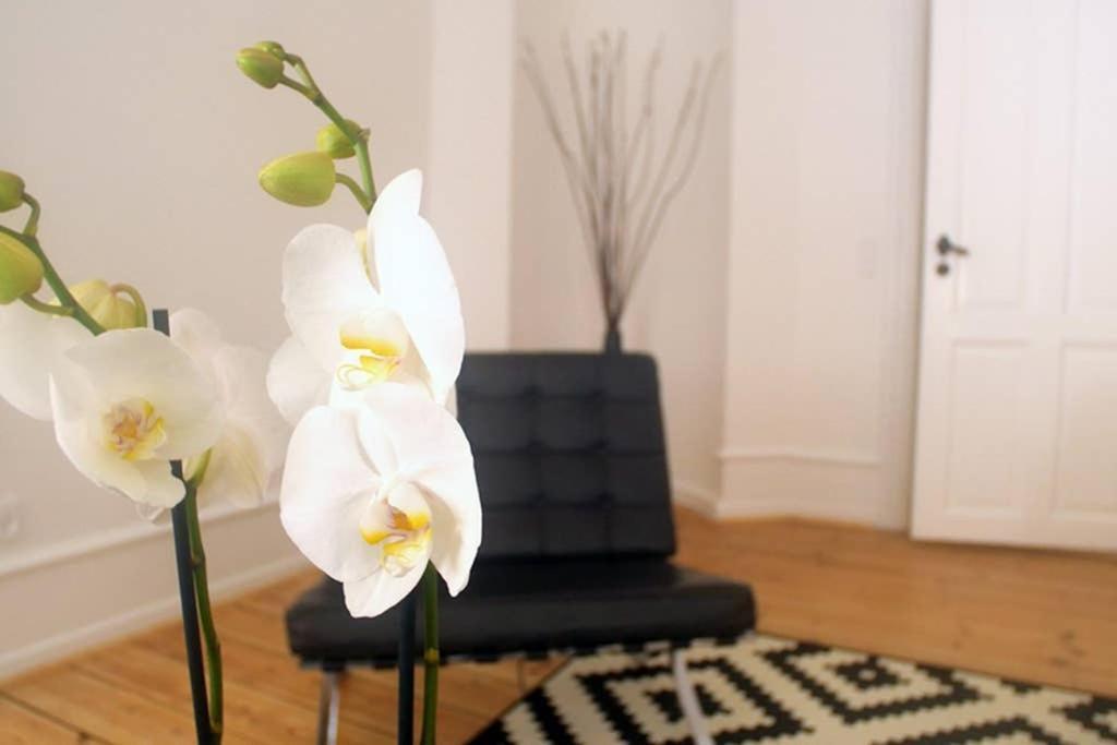 Next To New Harbor / 3 Bedroom & 2 Bath Rooms Copenhague Exterior foto